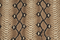 snake print